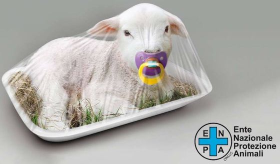 Auguri di Buona Pasqua da Itasportpress- immagine 2