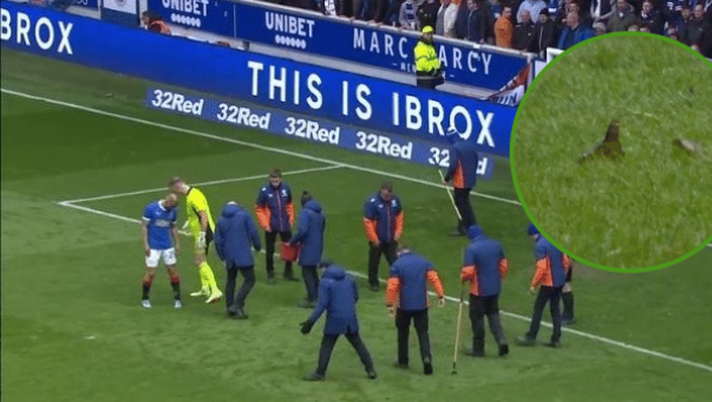 Primo ministro, la Sturgeon condanna le “prodezze” dei tifosi al derby dell’Old Firm: “Criminali” Primo ministro, la Sturgeon condanna le “prodezze” dei tifosi al derby dell’Old Firm: “Criminali” - immagine 1