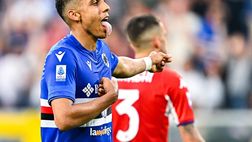 VN – Fiorentina-Sabiri, distanza tra domanda e offerta: il punto