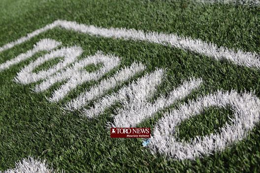 Torino-Udinese, le ultime dai campi: squadre in campo per il riscaldamento- immagine 2