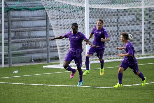 Cremonese, ufficiale: un ex Fiorentina ceduto in Serie B- immagine 2