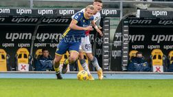 Verona verso il Napoli, gialloblù in campo