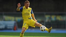 Ufficiale – Chievo, Marcolini nuovo allenatore e squadra ammessa alla Serie B