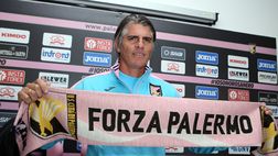 Conferenza Palermo – Lopez: “Sunjic titolare, Diamanti arretrato”
