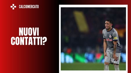 Noah Okafor, attaccante del Salisburgo