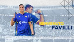 Ufficiale, Favilli al Verona