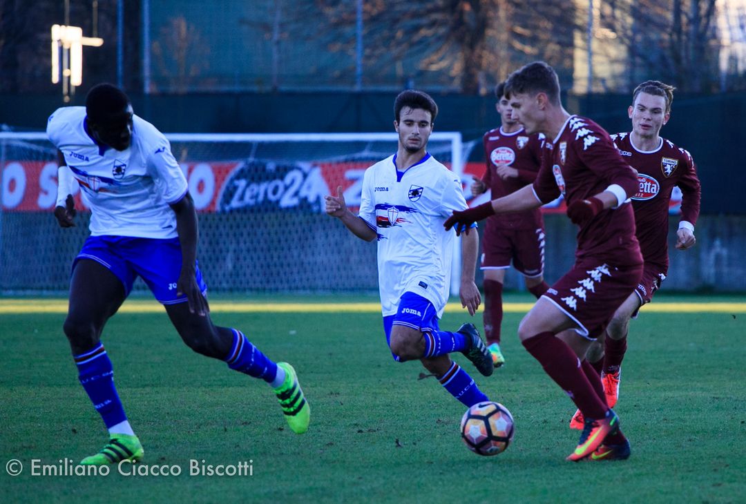 Fotogallery – Coppa Italia Primavera, Torino Sampdoria 4-0 - immagine 2