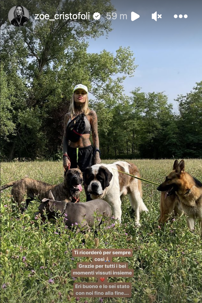 Muore uno dei cani di Zoe Cristofoli. Il suo ricordo: “E’ tutto così ingiusto”- immagine 2