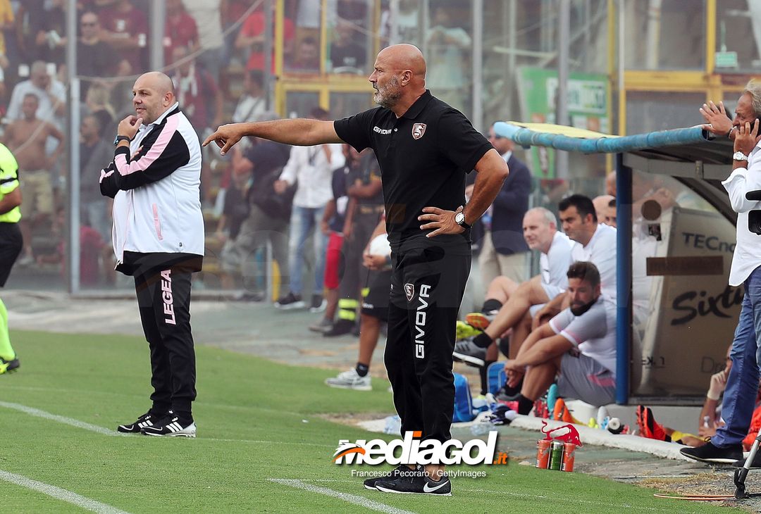  SALERNO, ITALY - AUGUST 25: Coach of US Salernitana Stefano Colantuono gestures during the Serie B match between US Salernitana and US Citta di Palermo on August 25, 2018 in Salerno, Italy.  (Photo by Francesco Pecoraro/Getty Images) 