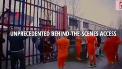 VIDEO Serie D, il Campobasso diventa… una serie tv! “Underdogs” pronto a sbarcare negli USA