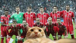 SOCIAL/ FOTO – Il Bayern Monaco scherza sull’invasione del gatto: “Ecco il nostro selfie”