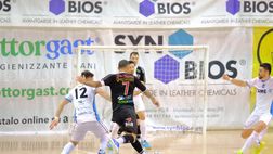 Il Syn-Bios inciampa sul Came: derby ai trevigiani