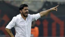 Gattusismo, ad avercene