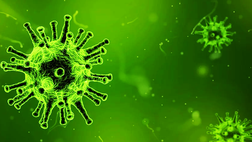 Virus: Da Harvard l’allarme, colpirà fino al 70 percento della popolazione mondiale