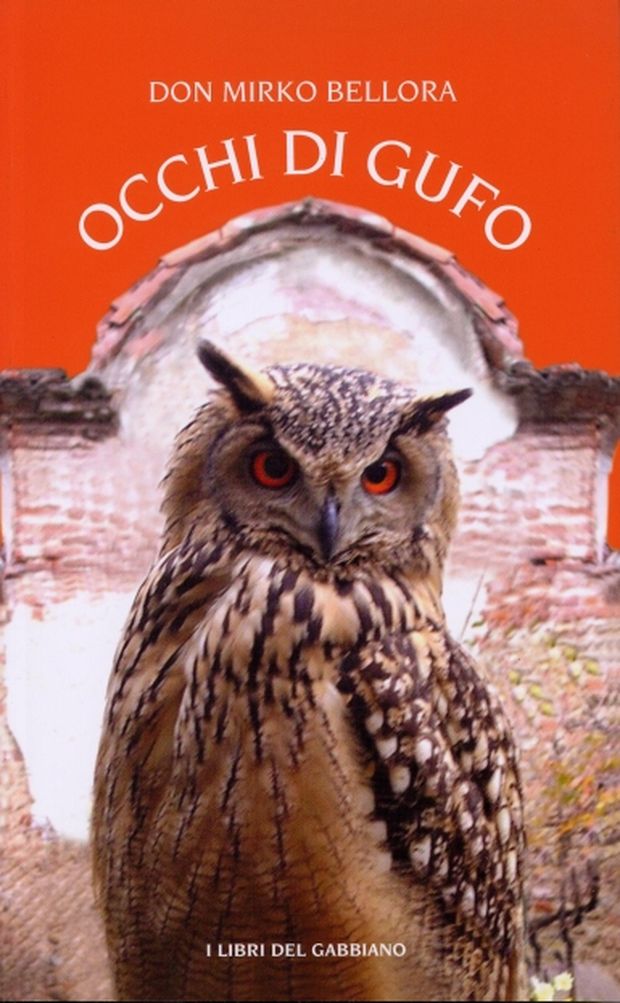 Scherzo da derby al parroco interista di Vimercate: striscione rossonero sul campanile…- immagine 2