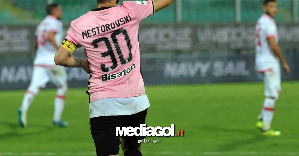 CittadellaPalermo infortuni per Dawidowicz e Nestorovski, il report medico. Sui tempi di