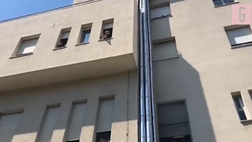 VIDEO Bologna, la squadra da Mihajlovic in ospedale: cori e applausi. Il tecnico…