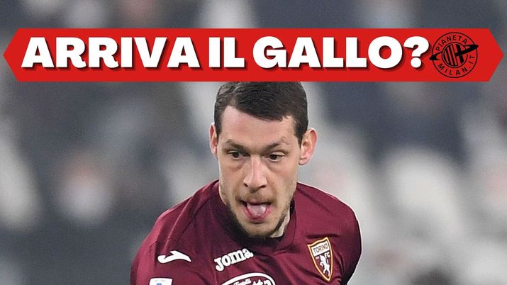 Andrea Belotti Torino Calciomercato AC Milan