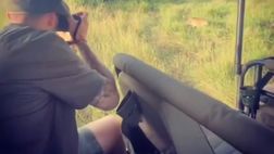 VIDEO / Wanda e Icardi nella natura. Ed ecco spuntare una leonessa!