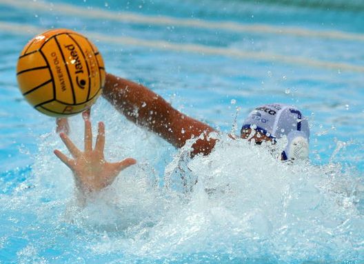Pallanuoto, la Pro Recco vince il 34esimo Scudetto- immagine 2
