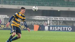 Ferrari: “Il mio futuro? Decidono Verona e Bologna”
