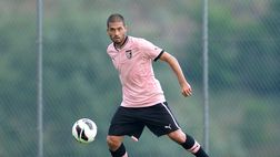 Di Matteo: “Palermo grande piazza. Catanzaro e Bari? Ampio divario con le altre”