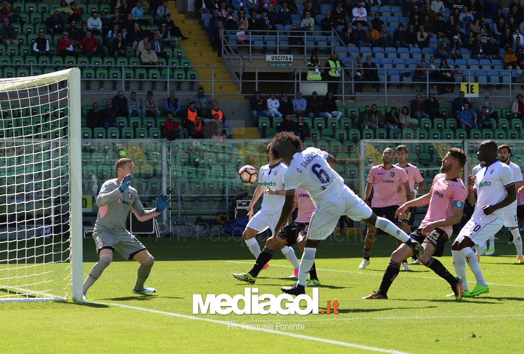  ipp/pasqualeponente
palermo 30/04/2017
campionato di calcio serie a 2016/17
palermo - fiorentina
carlos sanchez
italy photo press - world copyright 