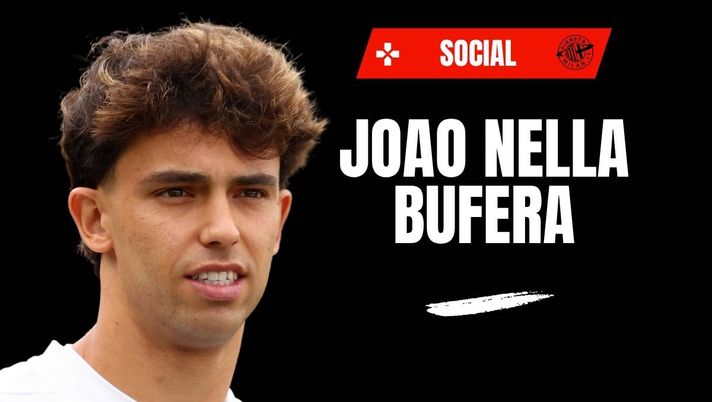 Ex Milan, Joao Felix nella bufera: 'Crudeltà verso gli animali' | Video
