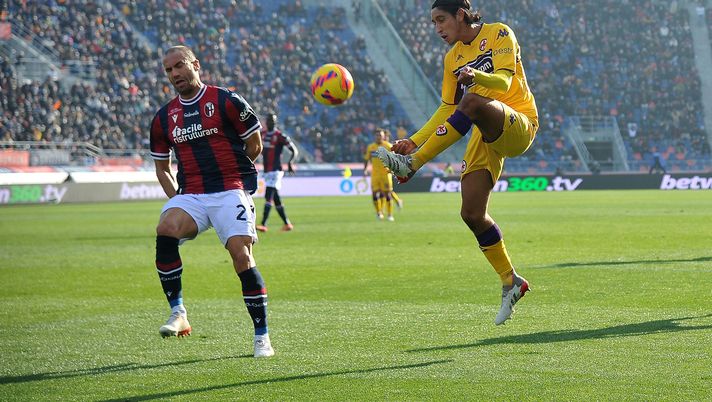 Photo by Mario Carlini / Iguana Press/Getty Images) Maleh