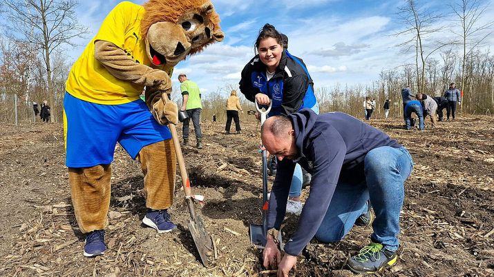 Vigilia del derby di Lipsia: i due club rivali piantano alberi insieme - immagine 1
