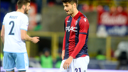 Petkovic, il Verona insiste