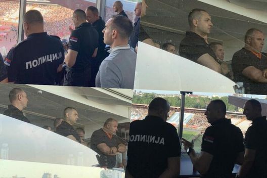 I tifosi del Partizan avevano preparato un agguato al capo-tifoso Stella Rossa: arrestati- immagine 2