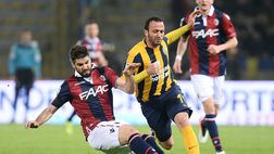Brocchi: “Pazzini? In serie A andrebbe in doppia cifra. È il nostro Bonazzoli”