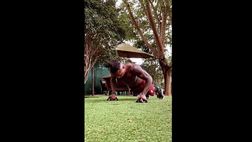 VIDEO / Ricordate Zé Roberto? Muscoli esplosivi a 47 anni