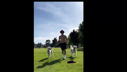 VIDEO / Alino Diamanti e i suoi cani: lo scherzo è da ridere