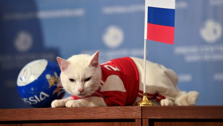 FILE PHOTO: Achilles the cat, one of the State Hermitage Museum mice hunters, attempts to predict the result of the opening match of the 2018 FIFA World Cup between Russia and Saudi Arabia during an event in Saint Petersburg, Russia June 13, 2018. REUTERS/Dylan Martinez/File Photo 
