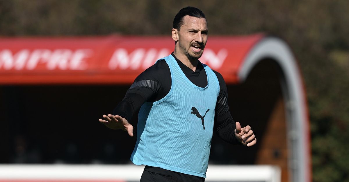 Milan Ibrahimovic 
