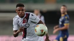 Carlino – L’ultimo giorno di mercato del Bologna