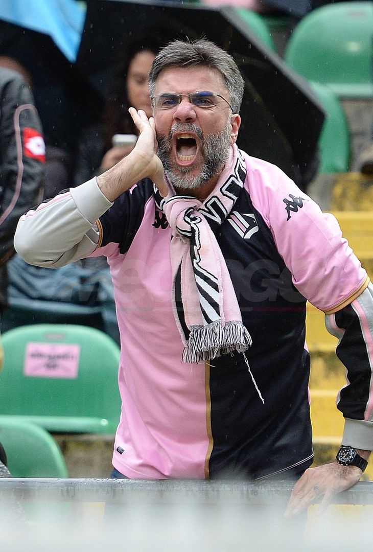 FOTO, i tifosi allo stadio per Palermo – Avellino 1-1 (Gallery) - immagine 19