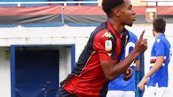 Primavera derby: sabato la Samp capolista ospita il Genoa in gran forma