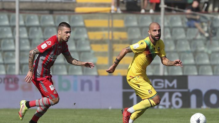 Ternana-Cittadella, rosso per Proietti: salterà il match contro il Palermo - immagine 1