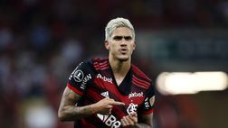 Pedro, da meteora in viola a stella col Flamengo e nel Brasile
