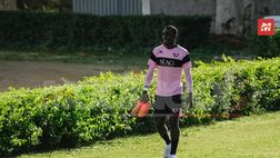Palermo, seduta pomeridiana verso l’Ascoli: riecco Buttaro. Bettella, Gomes e Vido…