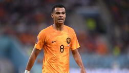 LIVE Mondiali Qatar 2022, Olanda-Qatar: segui la diretta del match