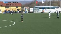 VIDEO / Tifoso ha un malore, arbitro sospende la partita per provare a soccorrerlo