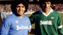 Avellino: “Complimenti al Napoli, il derby è solo uno”, e Salerno s’arrabbia…