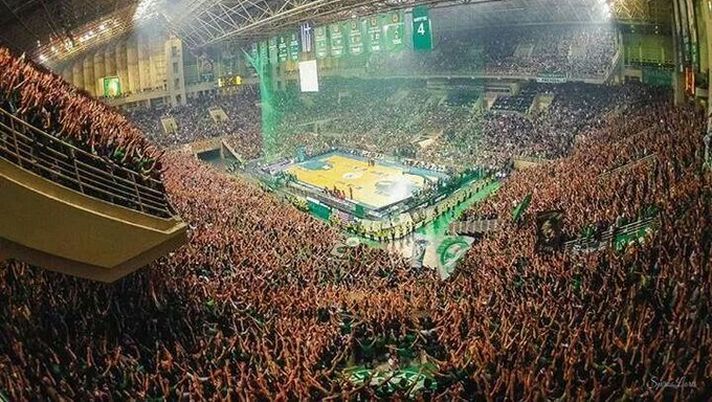Derby ateniese di basket al Panathinaikos Derby ateniese di basket al Panathinaikos
