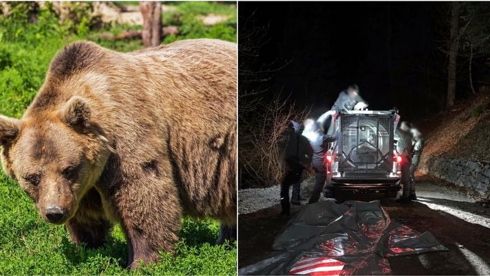 Orsa JJ4, Cruciani sbotta in diretta: “Questa cosa è assurda!” Orsa JJ4, Cruciani sbotta in diretta: “Questa cosa è assurda!” - immagine 1