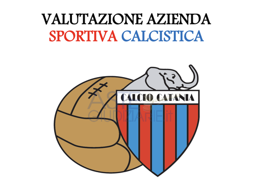 Catania, nuova denominazione, budget e investitori: le ultime- immagine 2