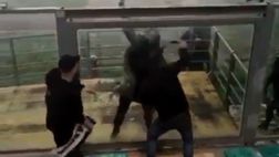 Giudice Sportivo: cinque mila euro di multa al Padova, una gara a porte chiuse a Catania